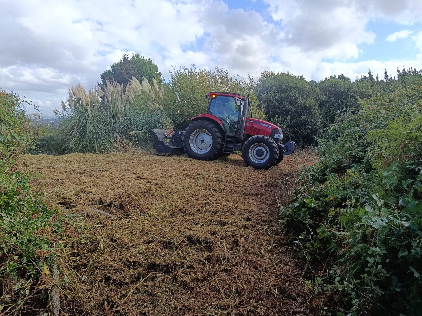 Tractor en una finca con vegetación desbrozada