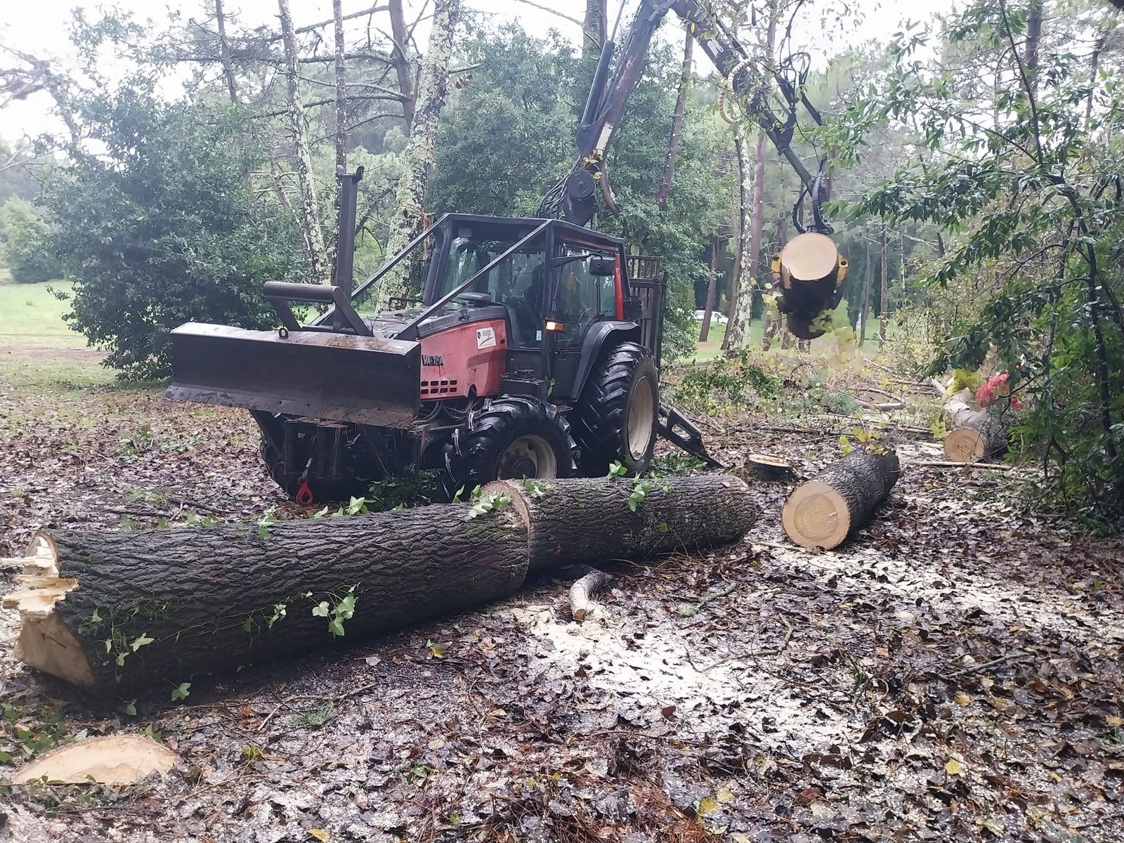 Manipulación de troncos con maquinaria forestal